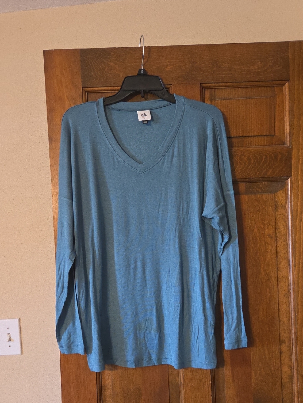 CAbi Sky Blue V-Neck Long Sleeve Top